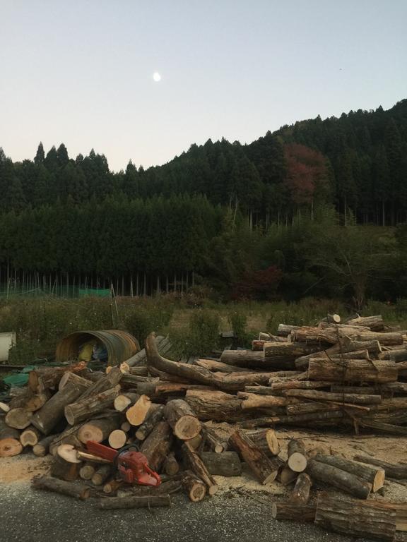 度假居 京都五右卫门农家乐 *